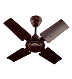 Ceiling Fans