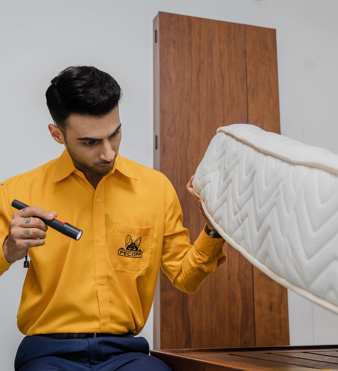 Buy 4 BHK(60 Days 2 Services) Bedbugs Control Online Bed Bug Control