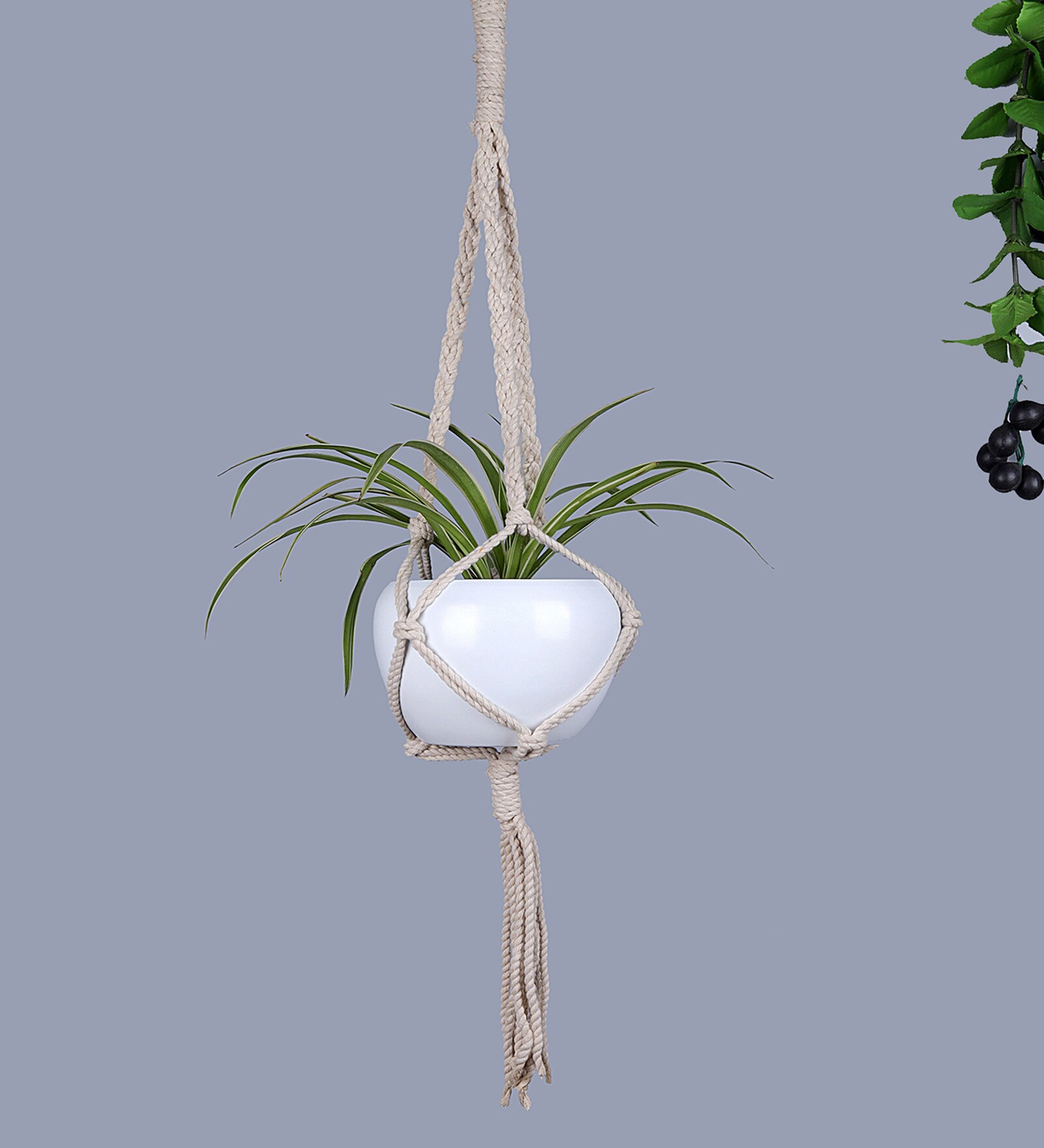 Buy Beige Macrame Medium Hanging Rope Planter with Metal White Pot (Set