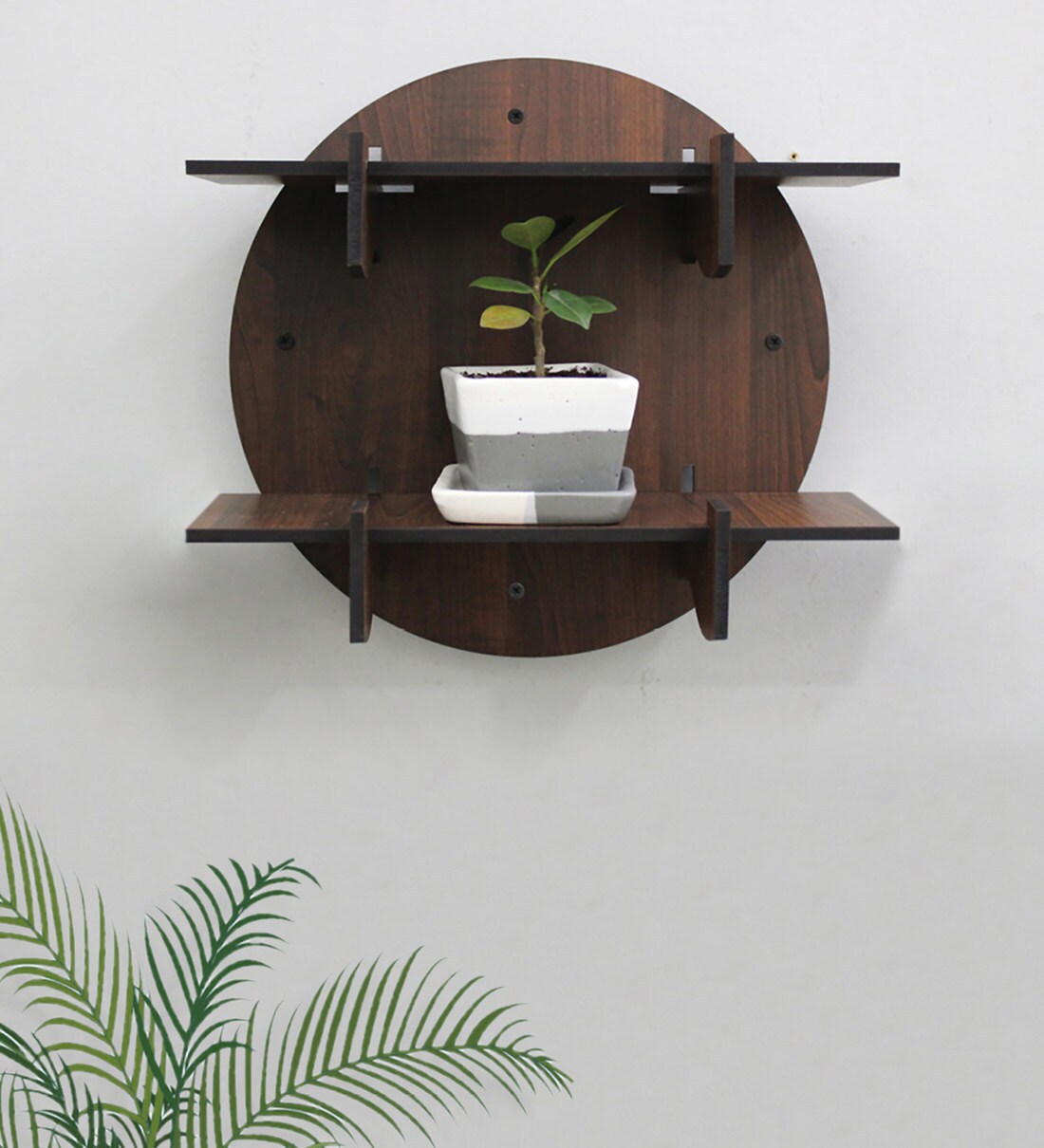 Buy Brown Engineered Wood Round Modular Wall Shelf by Random Online ...