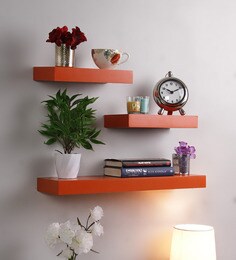 Wall Shelves 