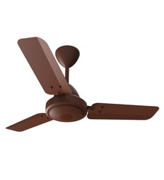 Ceiling fans