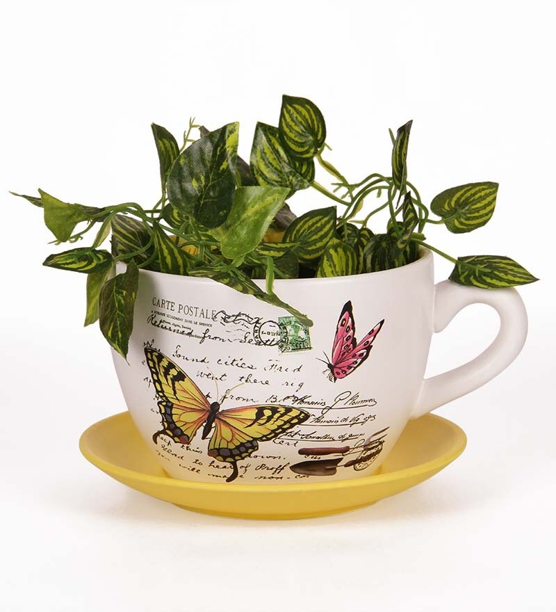 Buy Go Hooked Cup & Saucer Planter Online Pots & Planters Garden