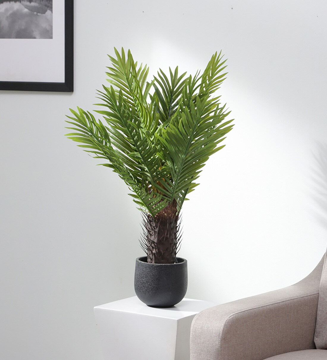 Buy Plastic Alison Green Palm Tree Artifical Without Pot Artificial Plant Online Artificial