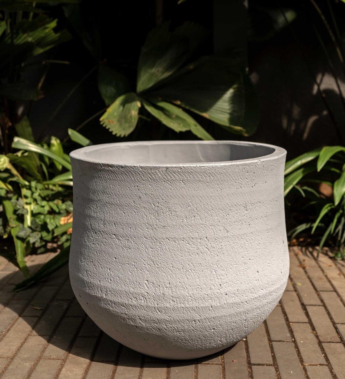 Buy Grey Concrete Planter by Curiocasa at 100% OFF by Curiocasa | Pepperfry