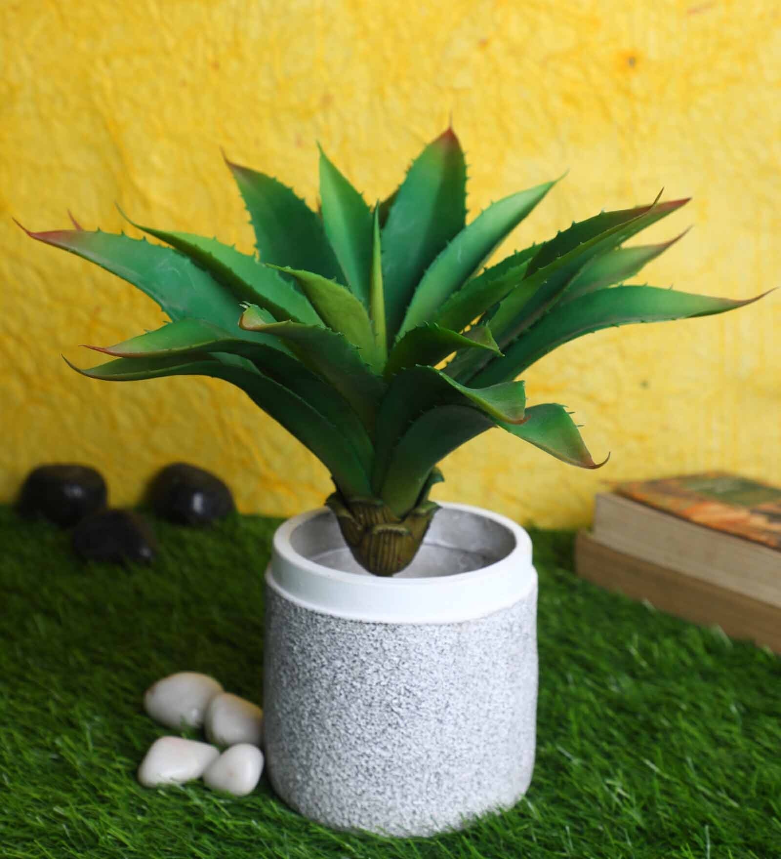 Buy Green Polyester Artificial Aloe Vera Plant Without Pot by Pollination at 52 OFF by
