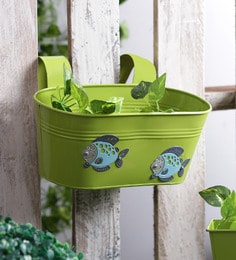 Pots & Planters