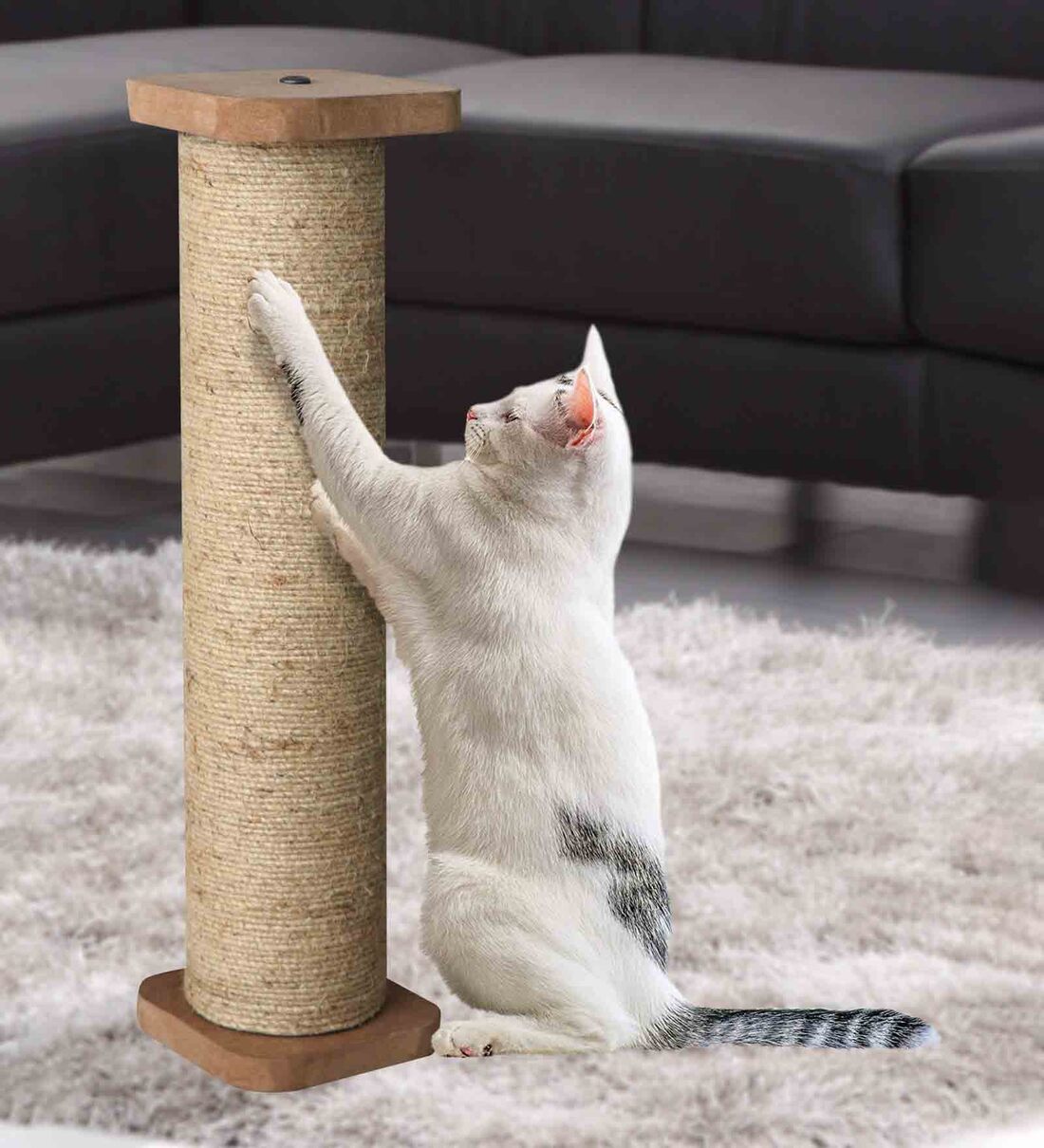 Buy Horizontal Single Sisal Rope Cat Scratcher Medium Size In Brown Colour By Hiputee at 64 OFF