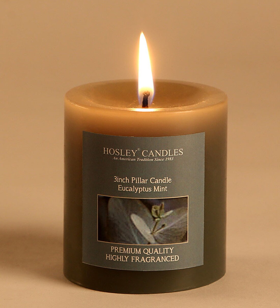 Buy Eucalyptus Mint Grey Pillar Candle At 53% OFF By Hosley | Pepperfry