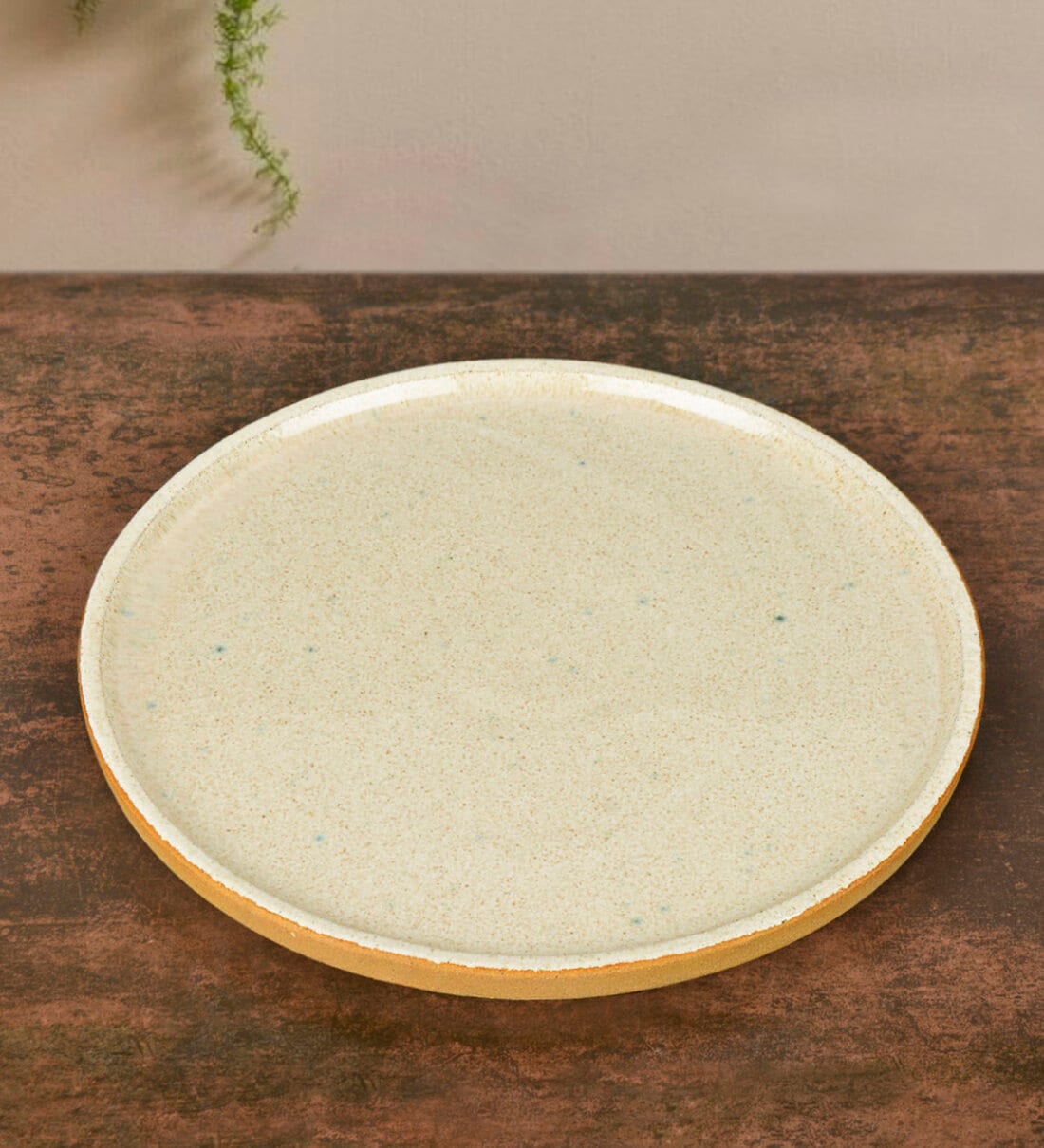 Buy Luxurious Speckled Ceramic Pizza Plate By StyleMyWay at 22 OFF by