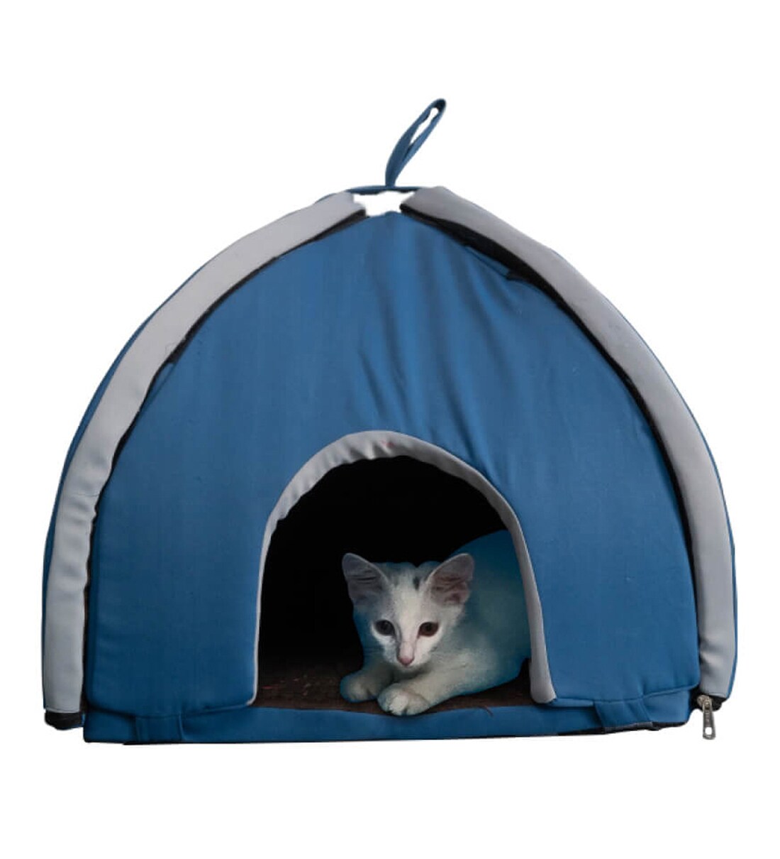 Buy Milton Hercules Blue & Grey Fabric Cat House at 100 OFF by House of Furry Pepperfry