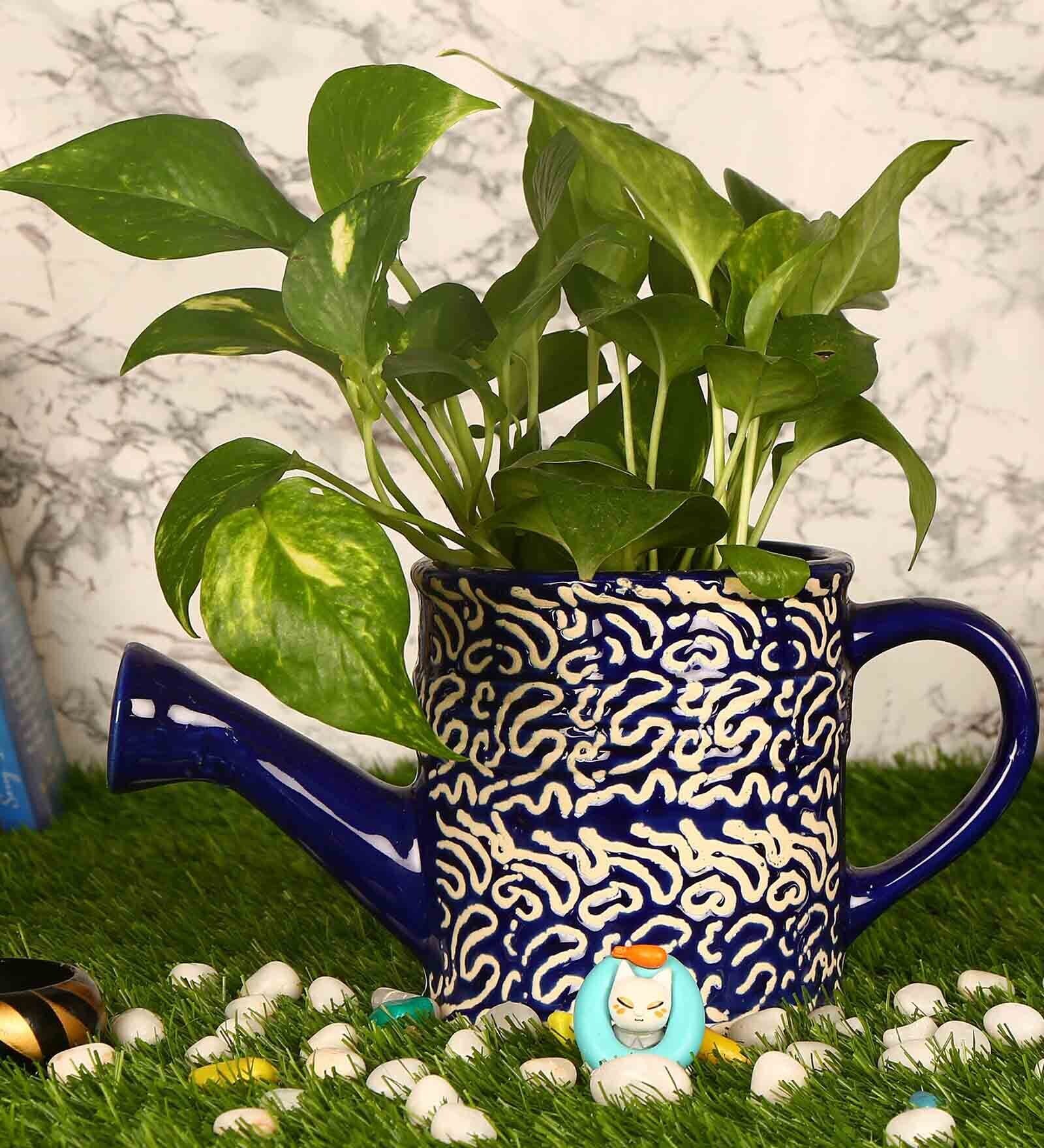 Buy Navy Blue Ceramic Gardening Watering Can Shape Big Planter with Rd