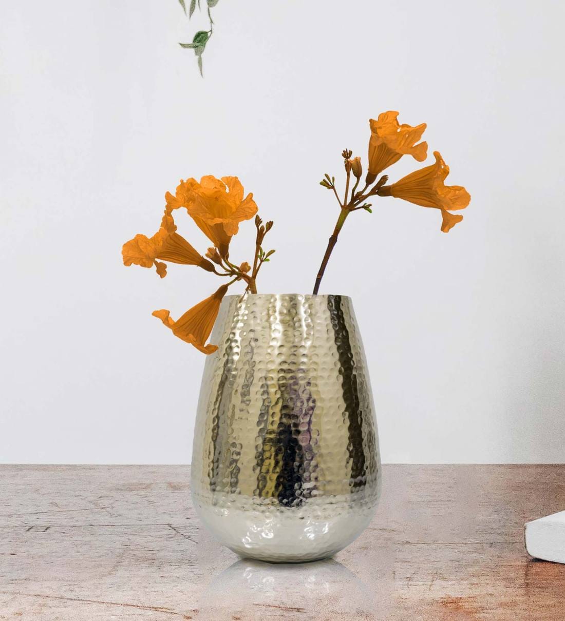 Buy Oval Shape Vase at 23 OFF by House of Sajja Pepperfry