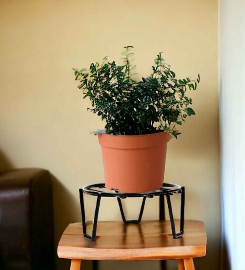 price history - Patio Black Metal Plant Stand