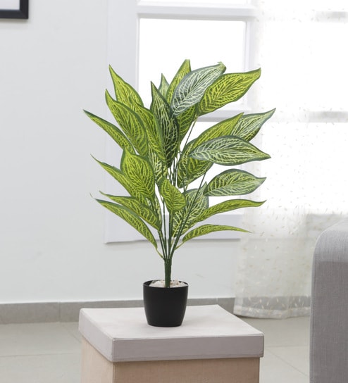 price history - Polyester Croton Artificial Plant Without Pot by Arick Decor
