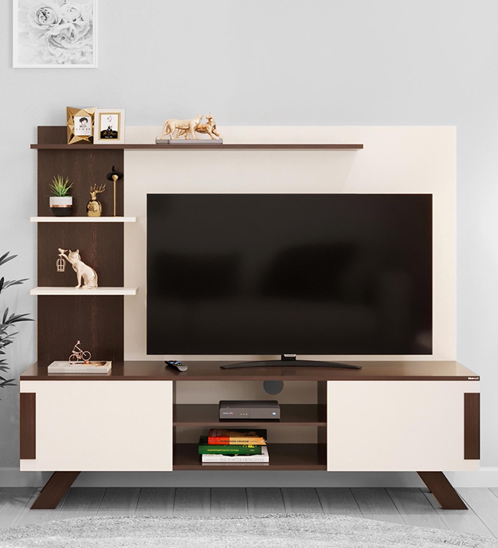 holl tv unit design