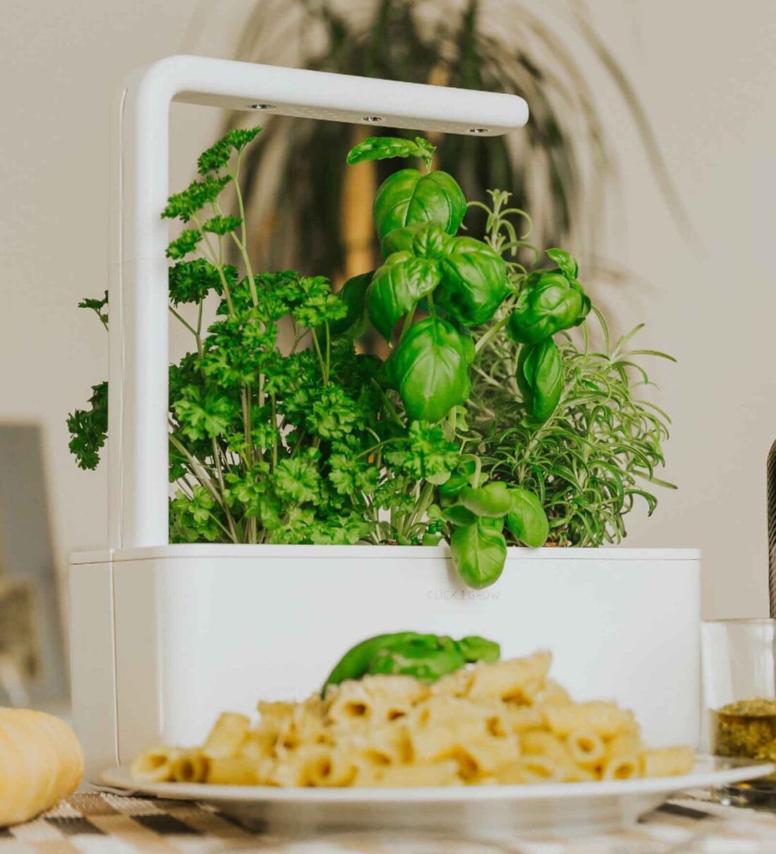 Buy Smart Garden 3 Indoor Herb Gardening Kit Online Testing Testing