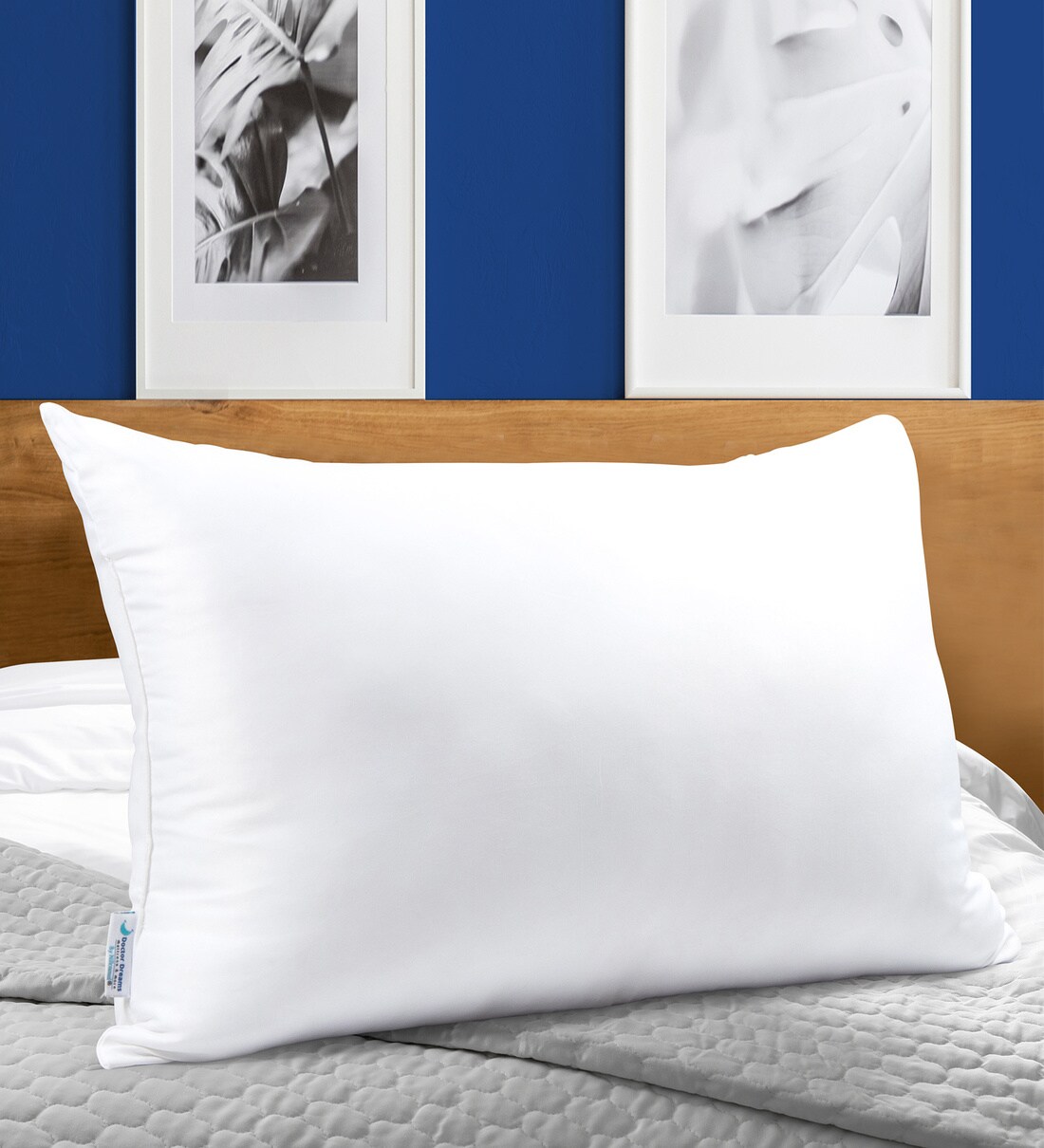 Buy Snuggle Microfiber 27 x 17 Inch Pillow at 50 OFF by Doctor Dreams