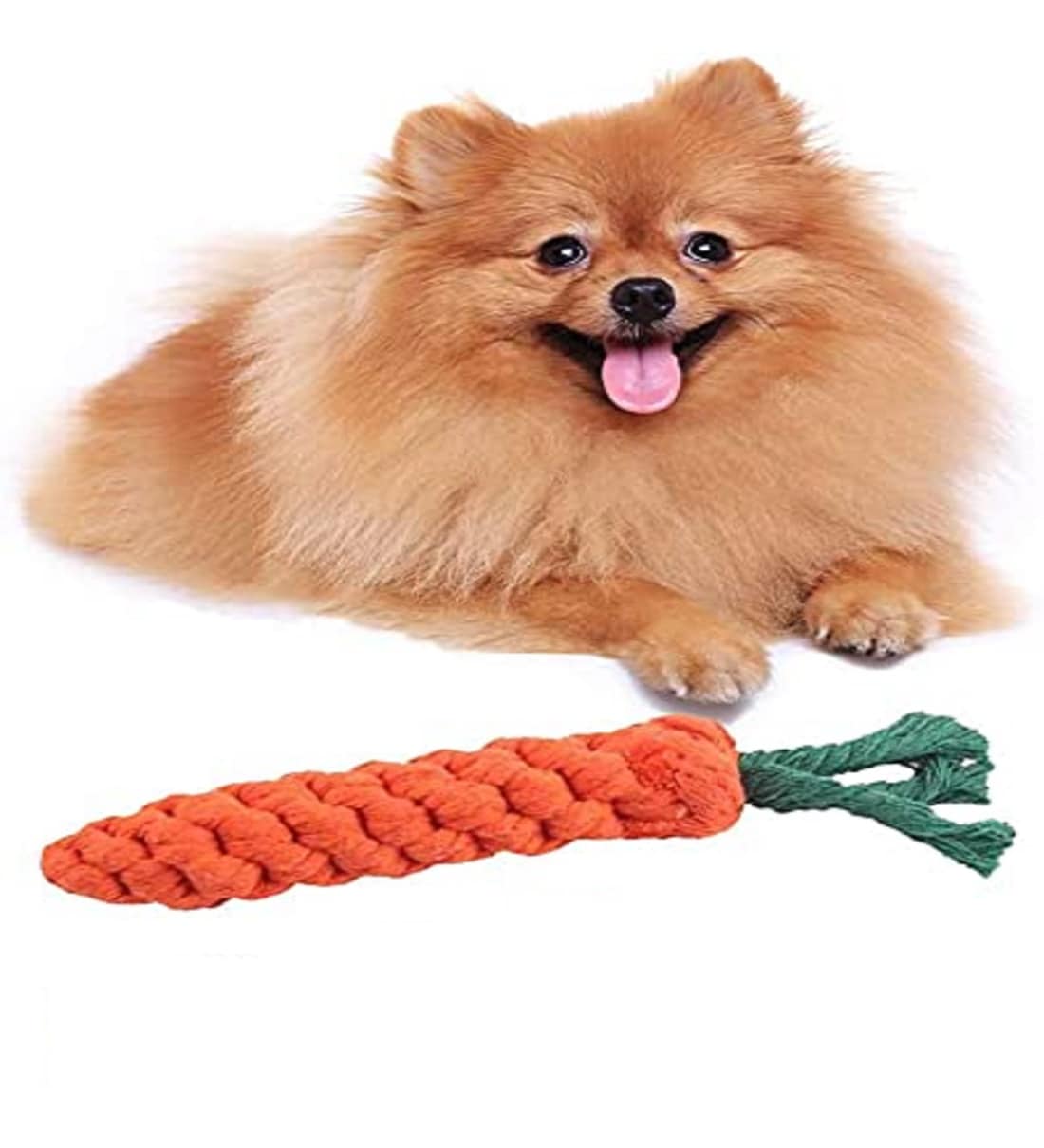 Buy Carrots Orange & Green Cotton Pet Chew Toy at 28 OFF by Emily Pets