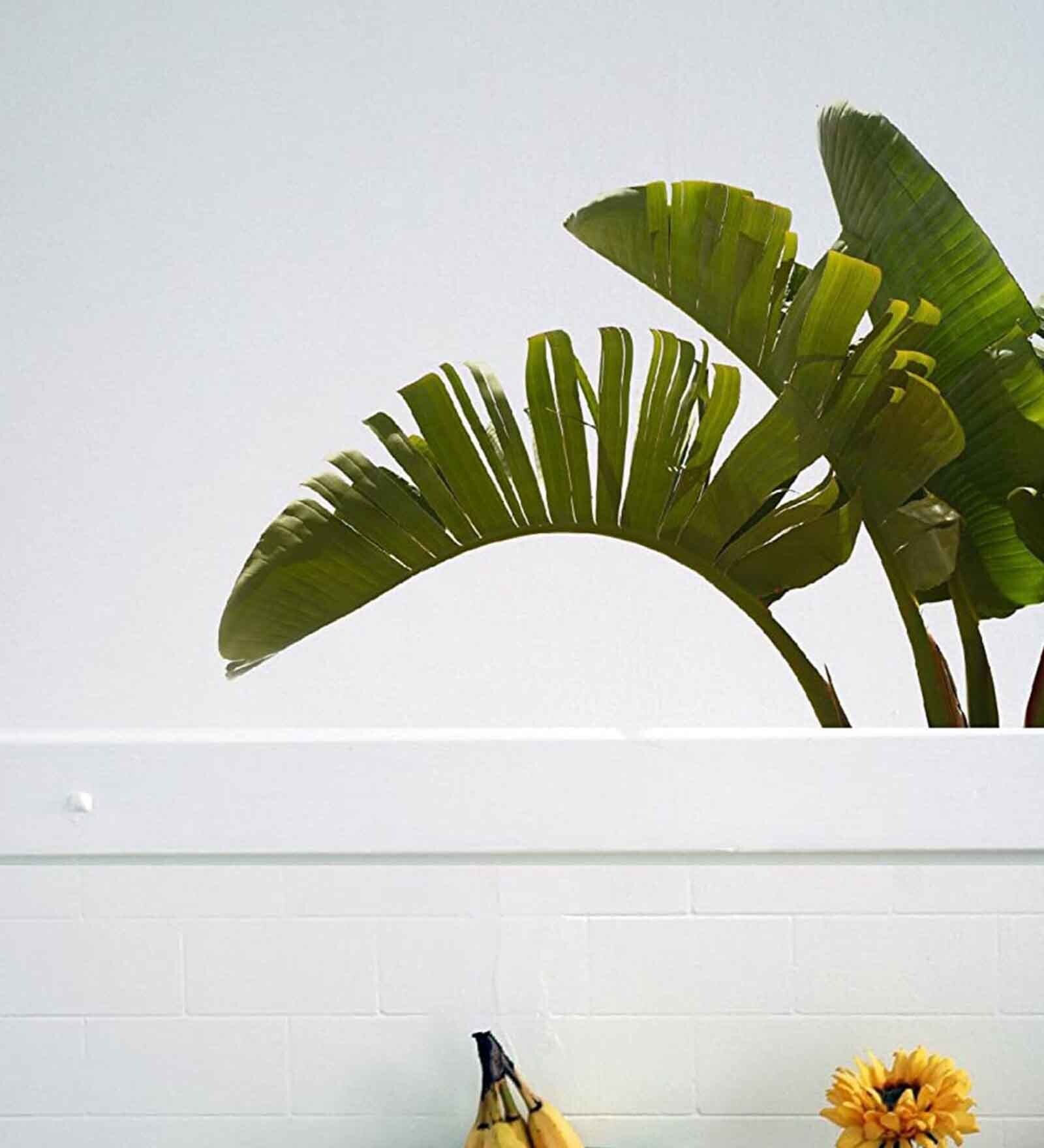 Buy Vinyl Pretty Flower Joy Doraemon Wall Sticker By Asian Paints