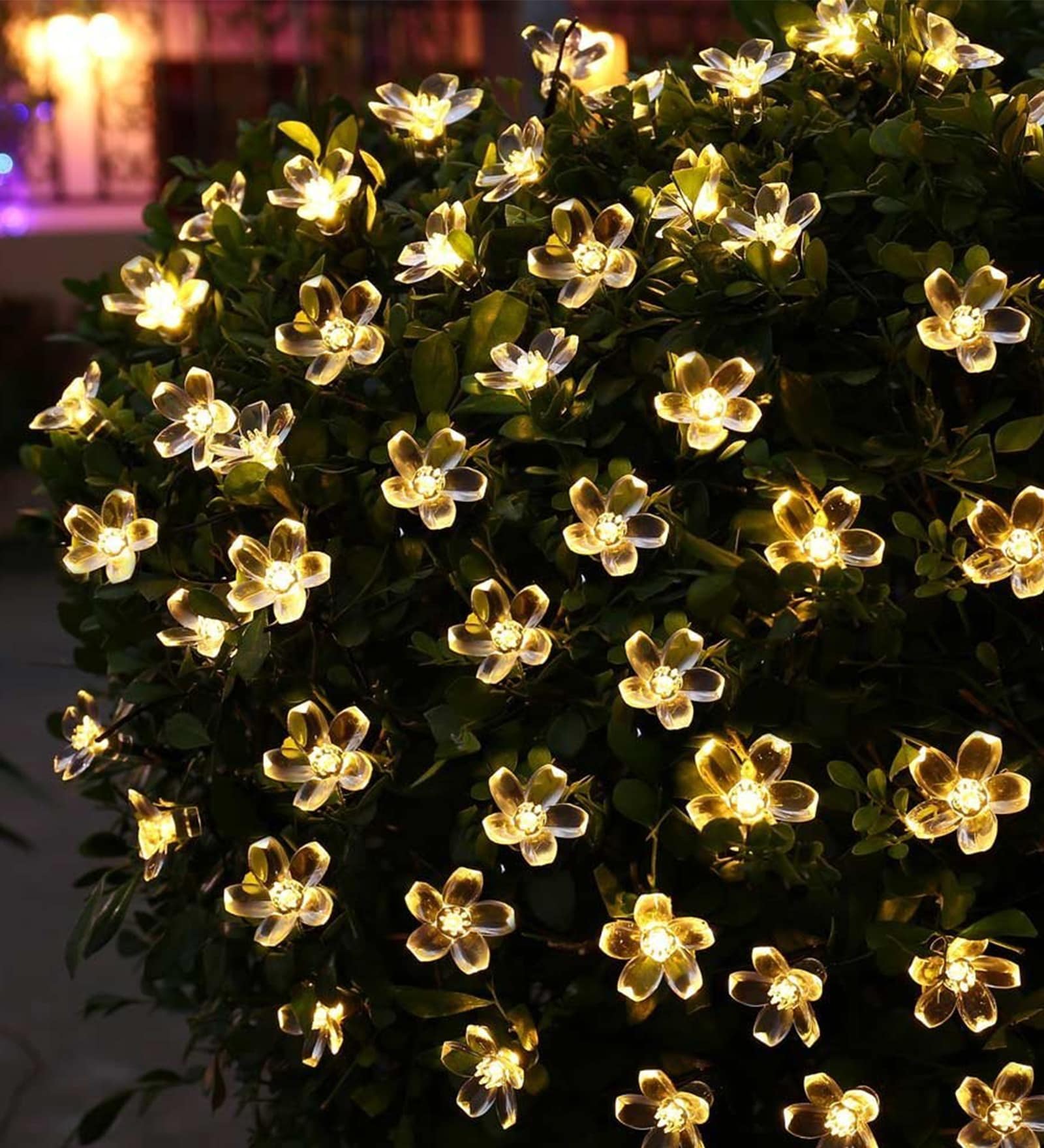 Flemish White and Yellow 3 Meter LED String Light, By The Purple Tree 