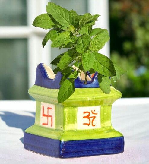 price history - 5 inches Green Tulsi Ceramic Planter